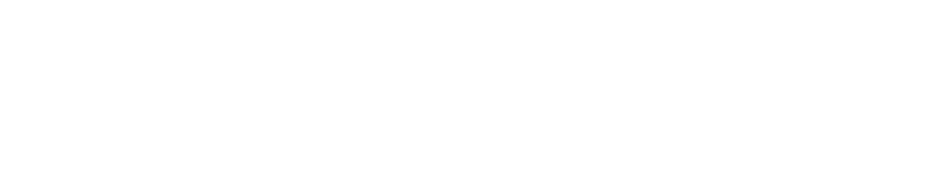 Hawk System